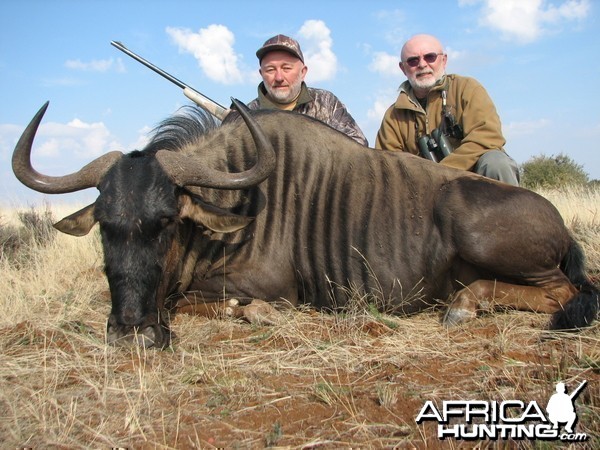 Hunting Blue Wildebeest with Wintershoek Johnny Vivier Safaris in SA