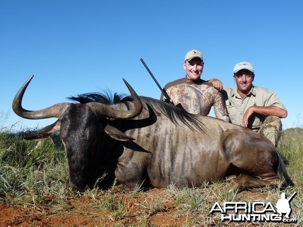 Hunting Blue Wildebeest with Wintershoek Johnny Vivier Safaris in SA