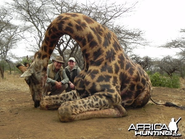 Hunting Giraffe with Wintershoek Johnny Vivier Safaris in SA