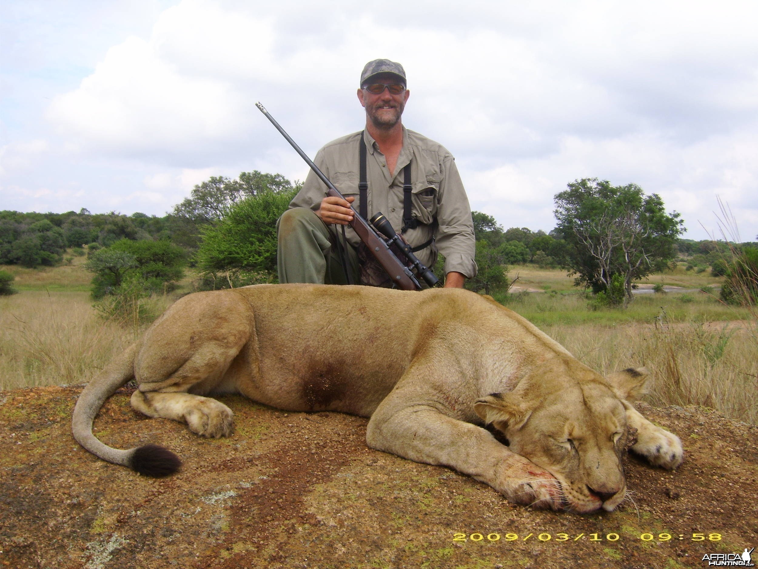 Lioness Inyala Safaris