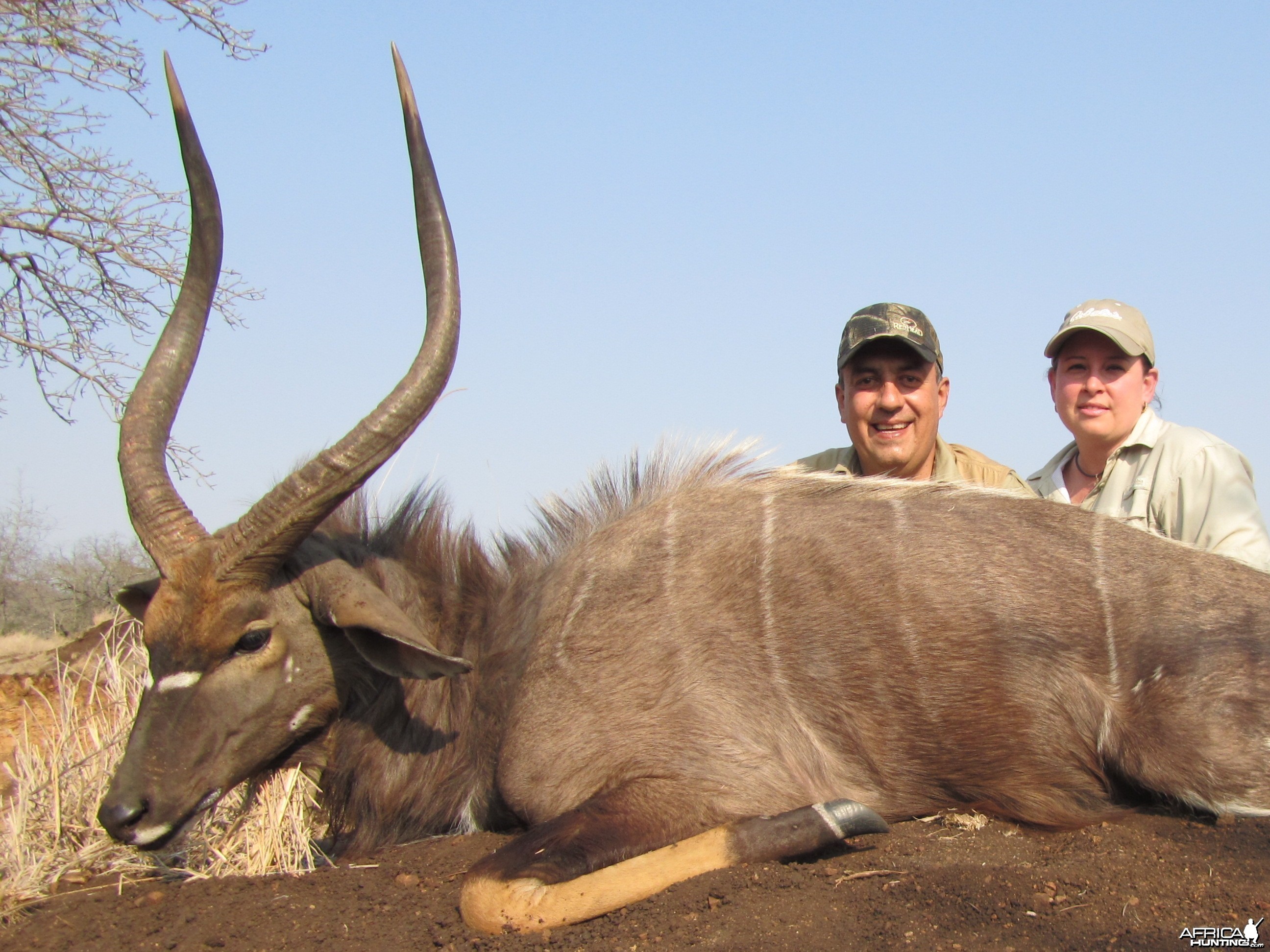 Hunting Nyala with Wintershoek Johnny Vivier Safaris in SA