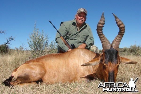 Hunting Red Hartebeest with Wintershoek Johnny Vivier Safaris in SA