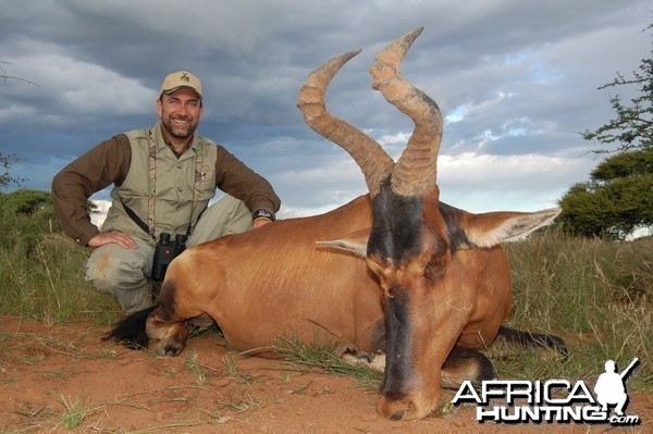 Hunting Red Hartebeest with Wintershoek Johnny Vivier Safaris in SA