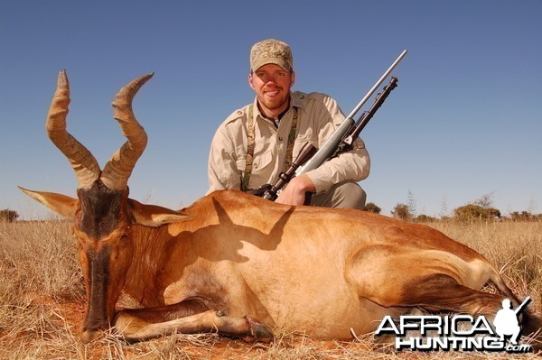 Hunting Red Hartebeest with Wintershoek Johnny Vivier Safaris in SA