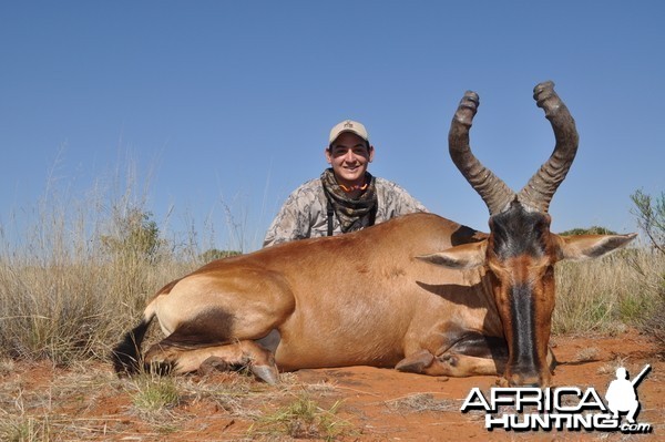 Hunting Red Hartebeest with Wintershoek Johnny Vivier Safaris in SA