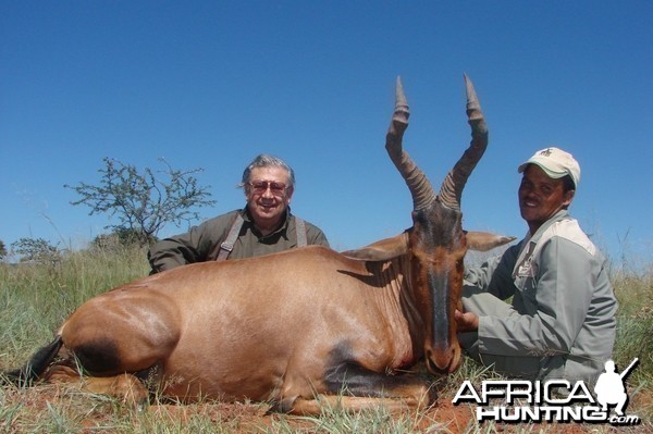 Hunting Red Hartebeest with Wintershoek Johnny Vivier Safaris in SA