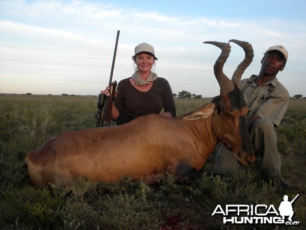 Hunting Red Hartebeest with Wintershoek Johnny Vivier Safaris in SA