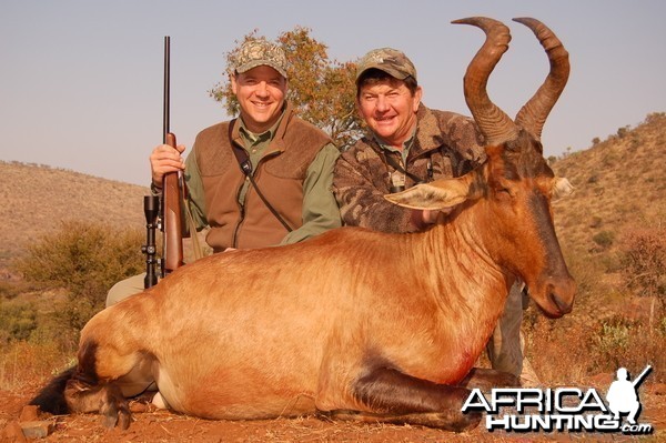 Hunting Red Hartebeest with Wintershoek Johnny Vivier Safaris in SA