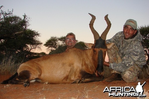 Hunting Red Hartebeest with Wintershoek Johnny Vivier Safaris in SA