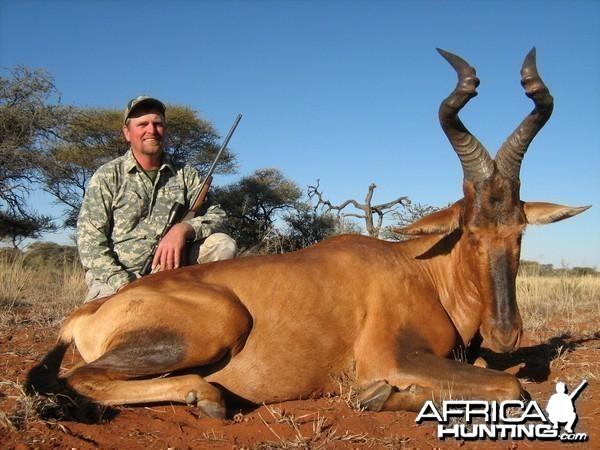 Hunting Red Hartebeest with Wintershoek Johnny Vivier Safaris in SA