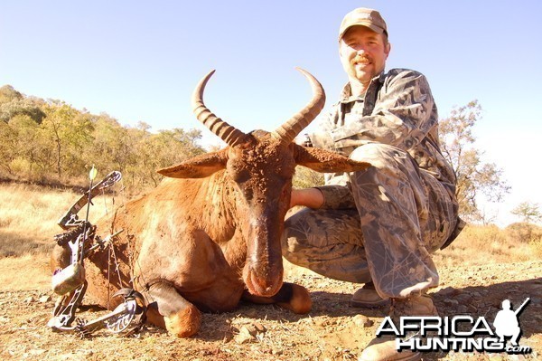 Bowhunting Tsessebe with Wintershoek Johnny Vivier Safaris in SA