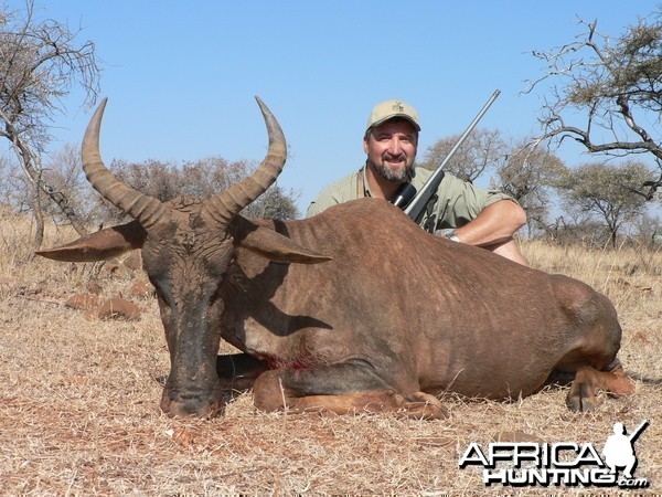 Hunting Tsessebe with Wintershoek Johnny Vivier Safaris in SA