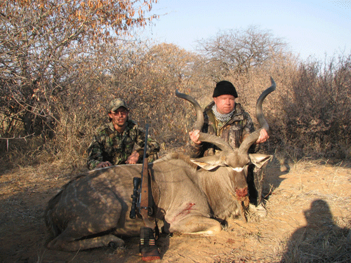 Greater Kudu