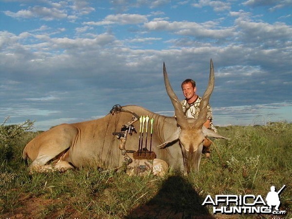 Bow Hunting Cape Eland in Namibia