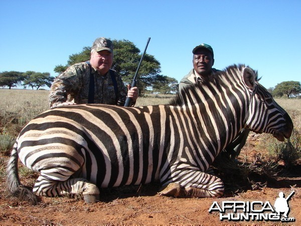 Hunting Burchell Zebra with Wintershoek Johnny Vivier Safaris in SA