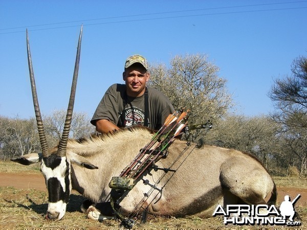 Bowhunting Gemsbok