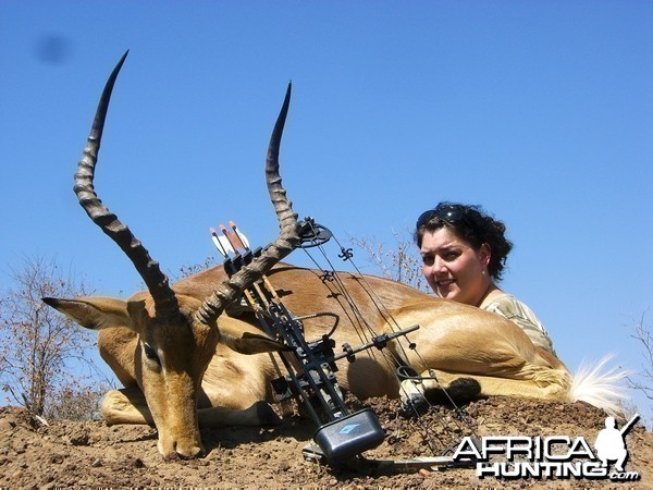 Bowhunting Impala