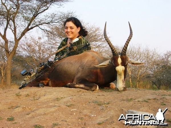 Bowhunting Blesbok