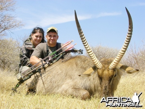 Bowhunting Waterbuck