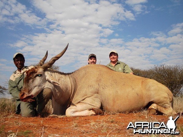 Hunting Eland with Wintershoek Johnny Vivier Safaris in SA