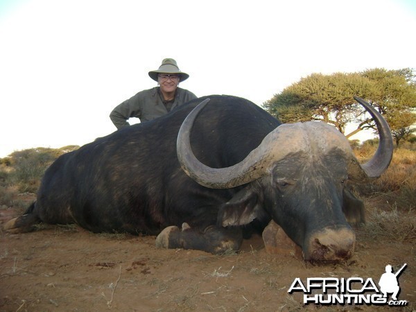 Hunting Buffalo with Wintershoek Johnny Vivier Safaris in SA