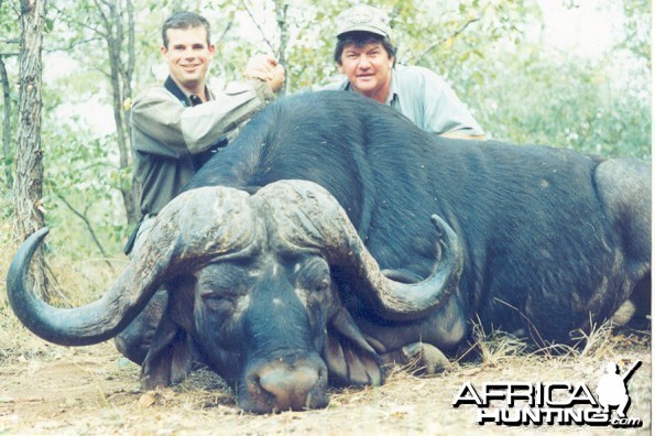 Hunting Buffalo with Wintershoek Johnny Vivier Safaris in SA