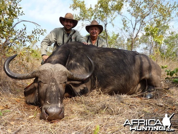 Hunting Buffalo Cow with Wintershoek Johnny Vivier Safaris in SA