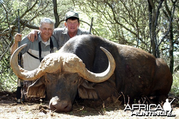 Hunting Buffalo with Wintershoek Johnny Vivier Safaris in SA