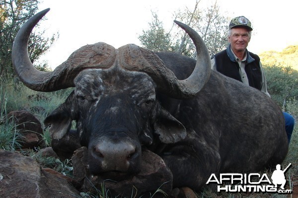 Hunting Buffalo with Wintershoek Johnny Vivier Safaris in SA