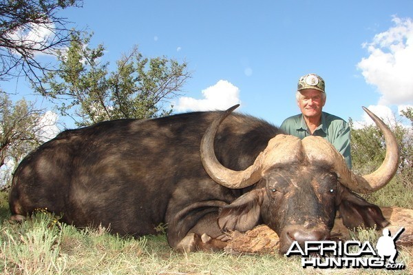 Hunting Buffalo with Wintershoek Johnny Vivier Safaris in SA