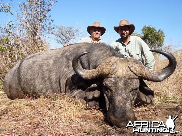 Hunting Buffalo with Wintershoek Johnny Vivier Safaris in SA