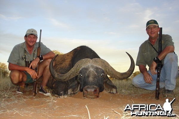 Hunting Buffalo with Wintershoek Johnny Vivier Safaris in SA