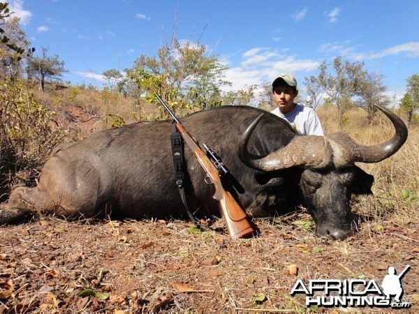 Hunting Buffalo with Wintershoek Johnny Vivier Safaris in SA