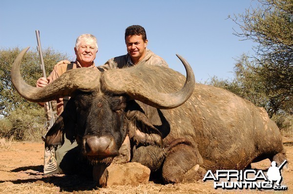 Hunting Buffalo with Wintershoek Johnny Vivier Safaris in SA