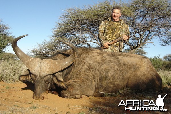 Hunting Buffalo with Wintershoek Johnny Vivier Safaris in SA