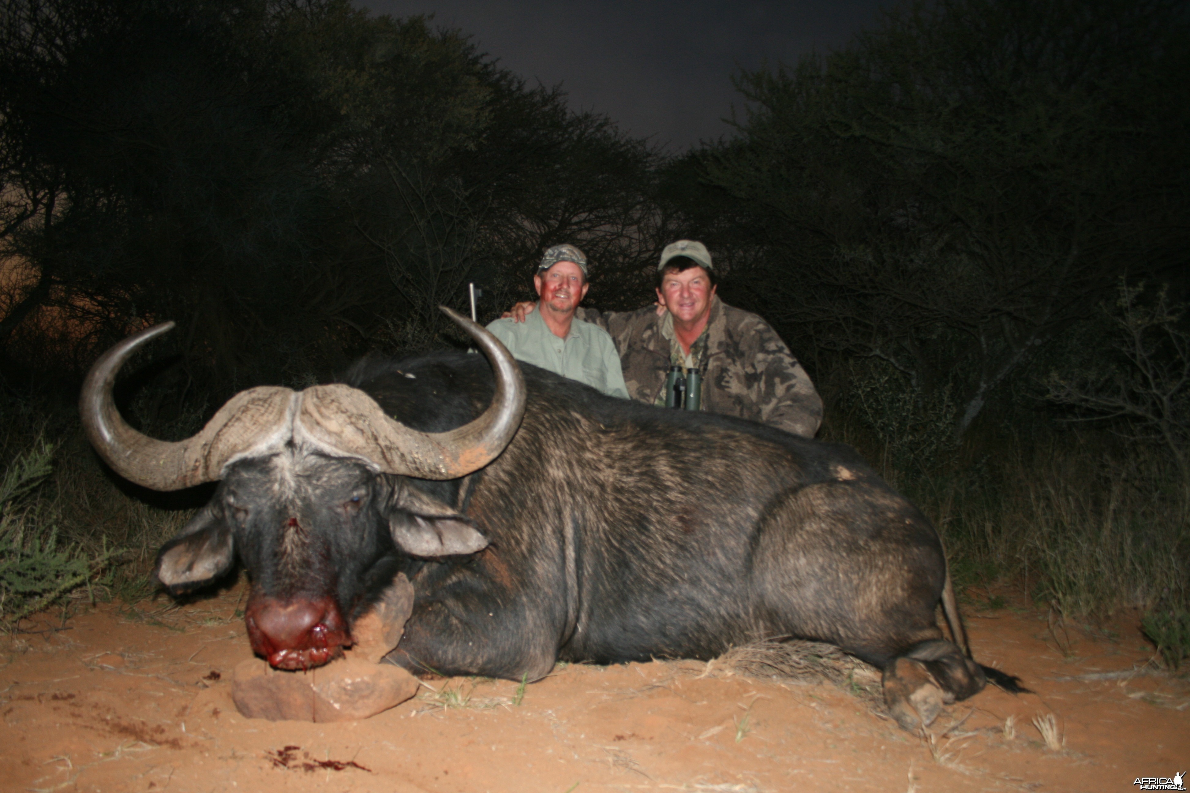 Hunting Buffalo with Wintershoek Johnny Vivier Safaris in SA