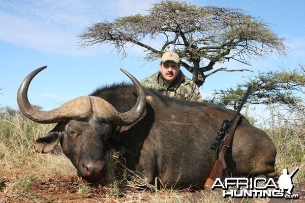 Hunting Buffalo with Wintershoek Johnny Vivier Safaris in SA