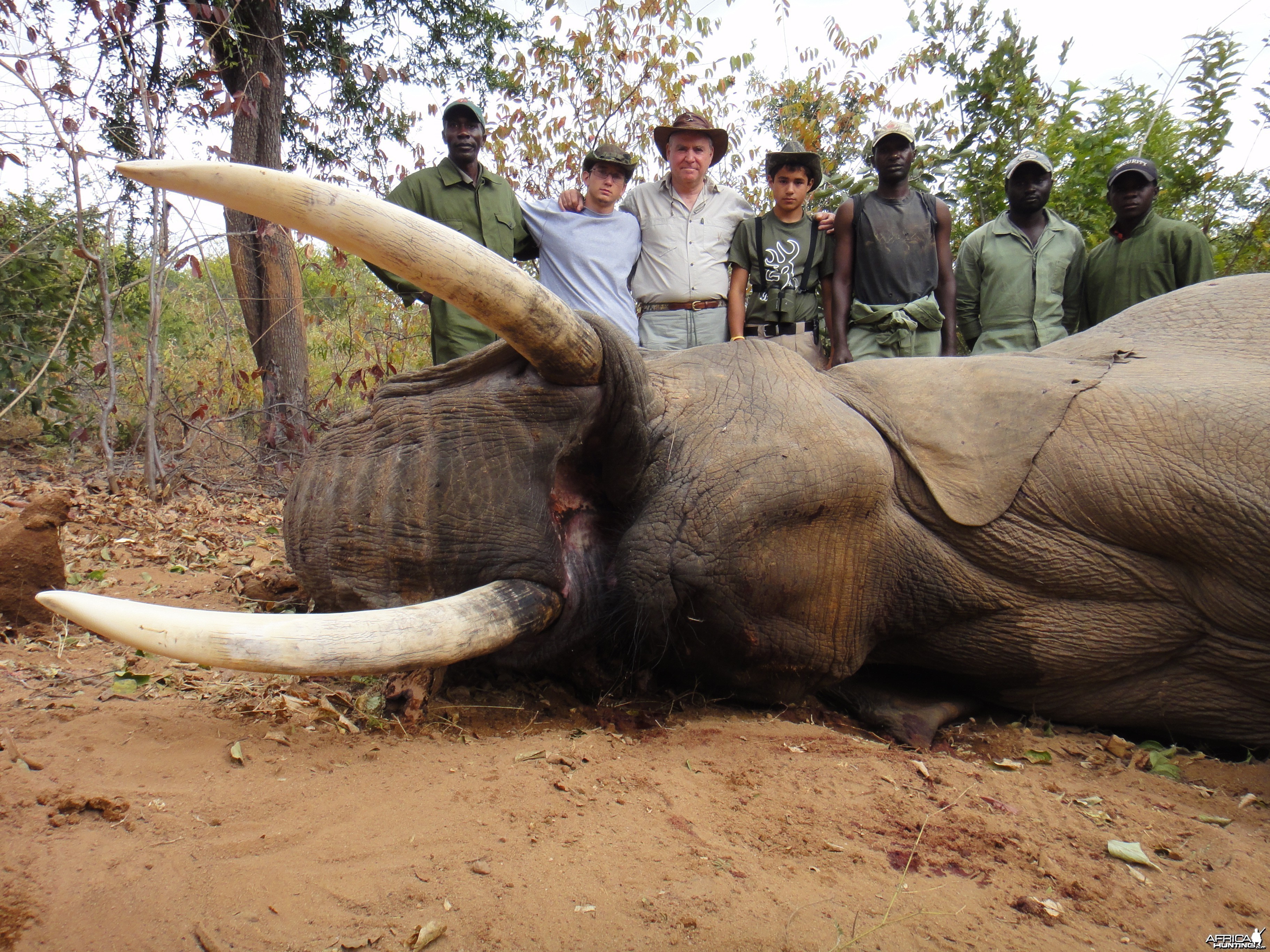 Hunting Elephant with Wintershoek Johnny Vivier Safaris in SA