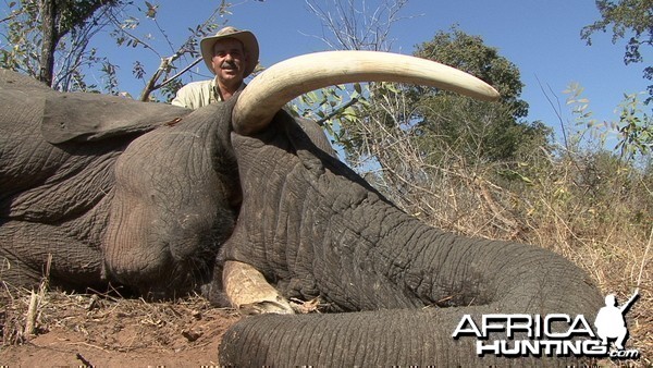 Hunting Elephant with Wintershoek Johnny Vivier Safaris in SA