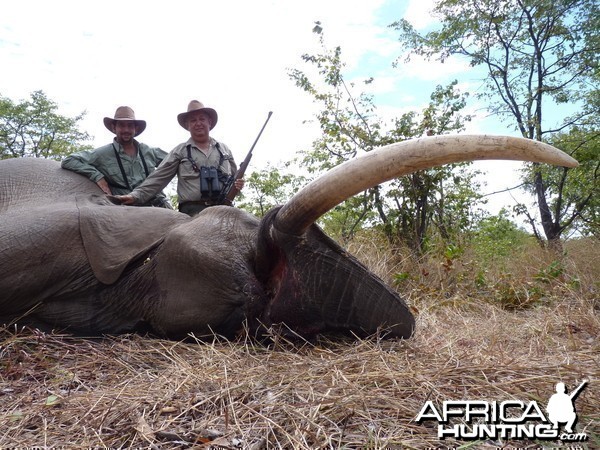 Hunting Elephant with Wintershoek Johnny Vivier Safaris in SA