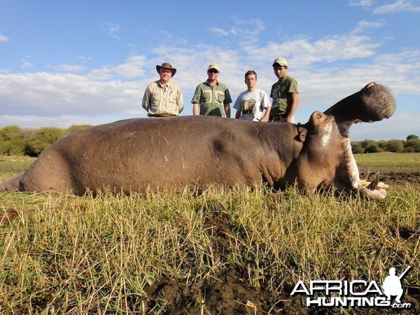 Hunting Hippo with Wintershoek Johnny Vivier Safaris in SA