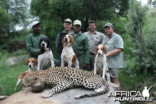 Hunting Leopard with Wintershoek Johnny Vivier Safaris in SA