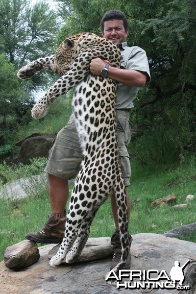 Hunting Leopard with Wintershoek Johnny Vivier Safaris in SA