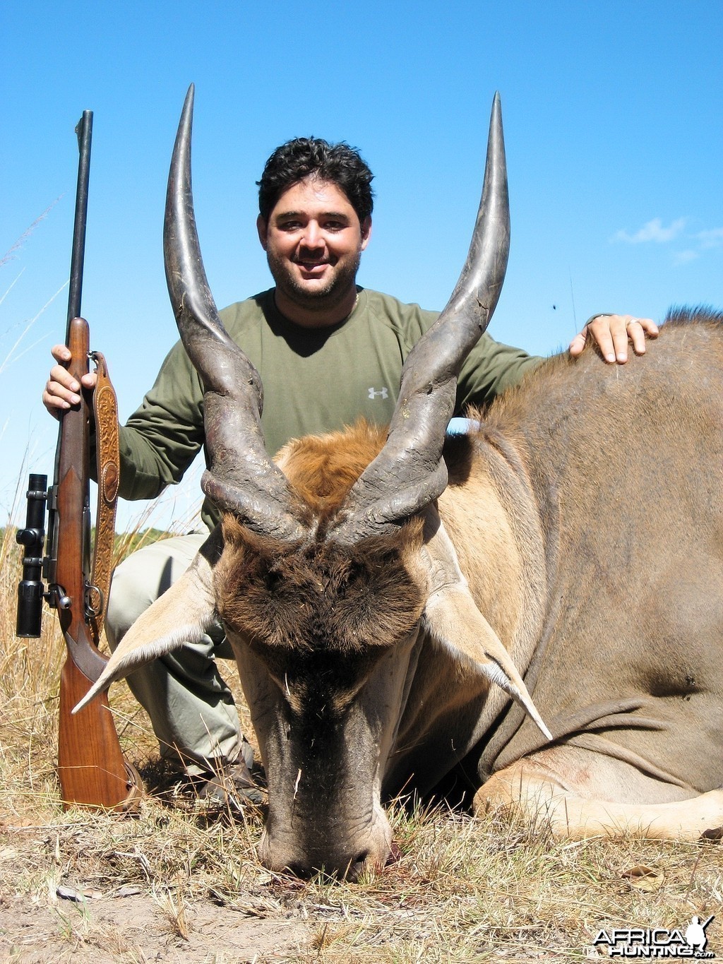 Eland hunted in Zimbabwe