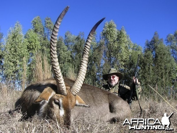 My Waterbuck shot near Potchefstroom