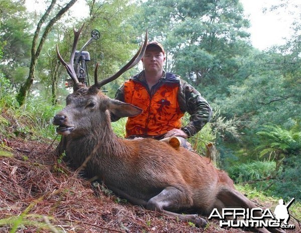 Bowhunting Deer in New Zealand