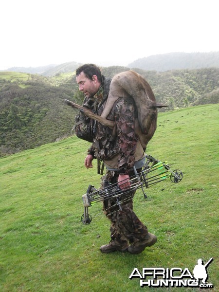 Bowhunting Fallow Deer in New Zealand