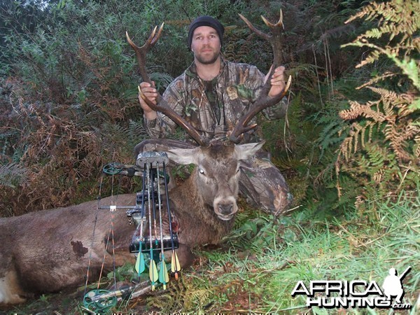 Bowhunting Deer in New Zealand