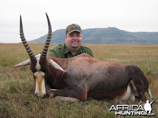 Hunting Blesbok in Kwa-Zulu Natal, SA