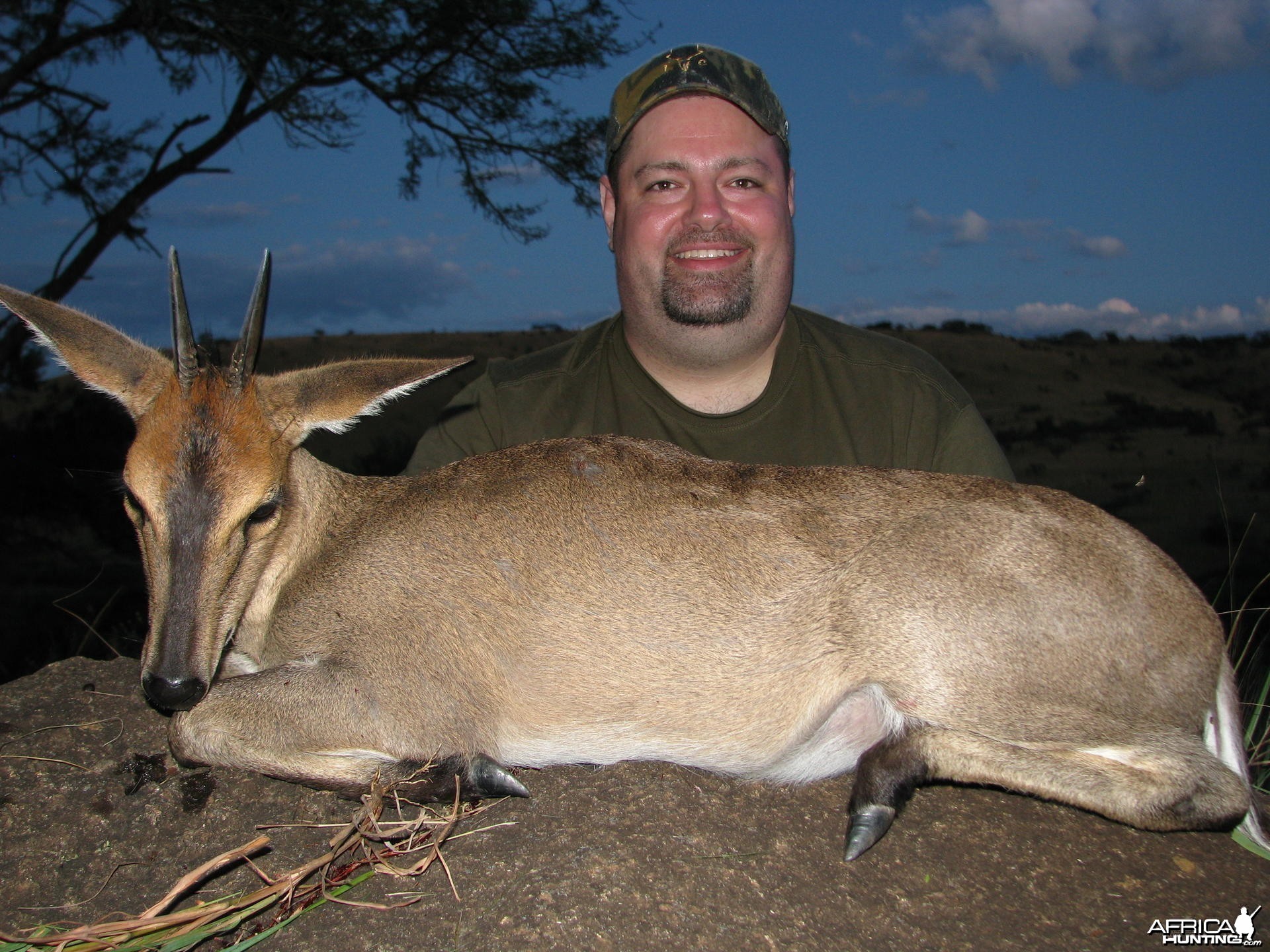 Hunting Duiker in Kwa-Zulu Natal, SA
